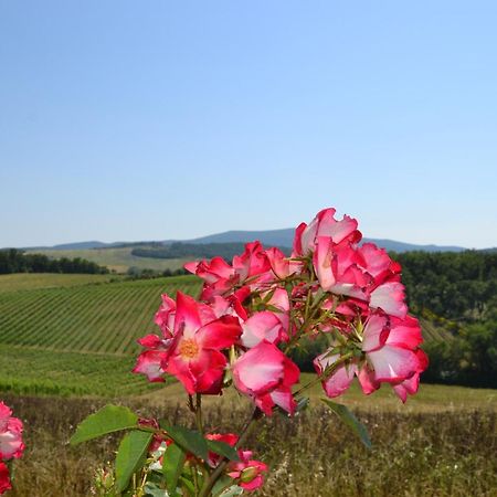 קסטלינה אין קיאנטי Agriturismo Cignanbianco מראה חיצוני תמונה