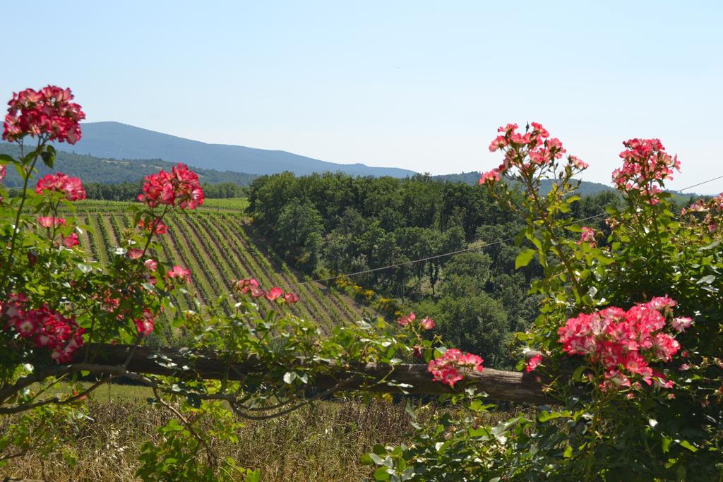 קסטלינה אין קיאנטי Agriturismo Cignanbianco מראה חיצוני תמונה