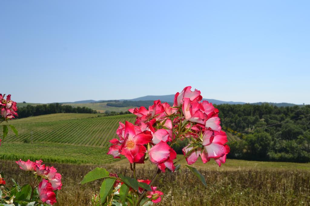 קסטלינה אין קיאנטי Agriturismo Cignanbianco מראה חיצוני תמונה